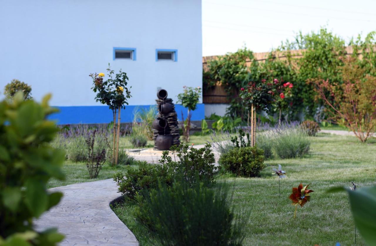 Sunrise Crisan (Tulcea)